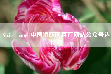 金湖中国消防网官方网站公众号达伦特