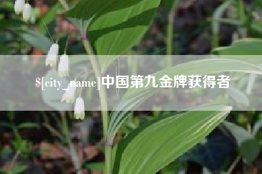 金湖中国第九金牌获得者