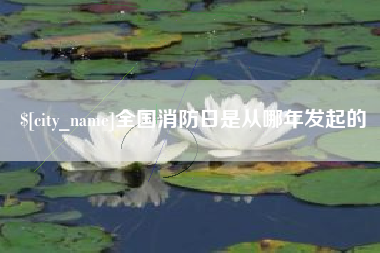 金湖全国消防日是从哪年发起的