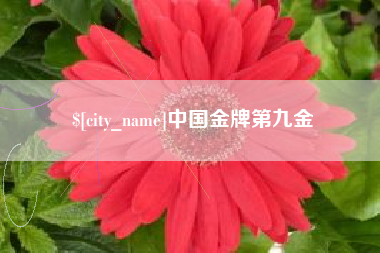 金湖中国金牌第九金