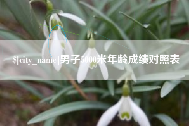 金湖男子5000米年龄成绩对照表