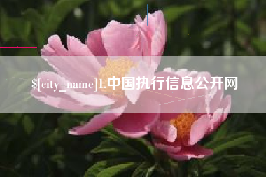 金湖1.中国执行信息公开网