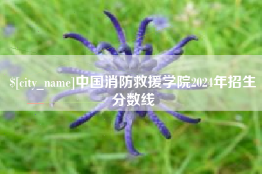 金湖中国消防救援学院2024年招生分数线