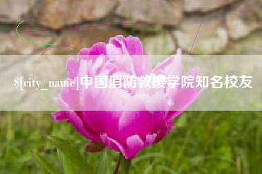 金湖中国消防救援学院知名校友