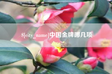 金湖中国金牌哪几项