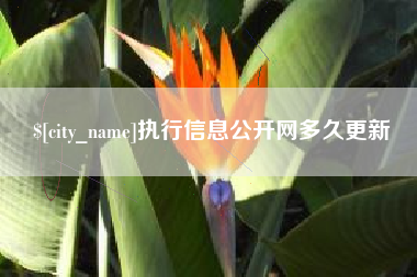 金湖执行信息公开网多久更新