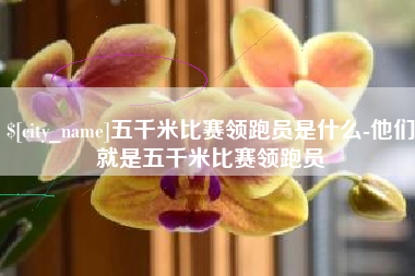 金湖五千米比赛领跑员是什么-他们就是五千米比赛领跑员