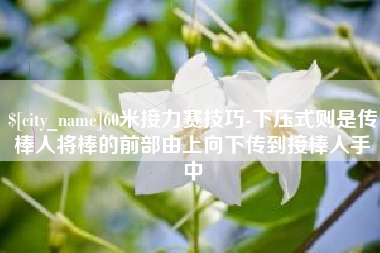 金湖60米接力赛技巧-下压式则是传棒人将棒的前部由上向下传到接棒人手中