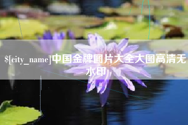 金湖中国金牌图片大全大图高清无水印