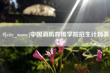 金湖中国消防救援学院招生计划表