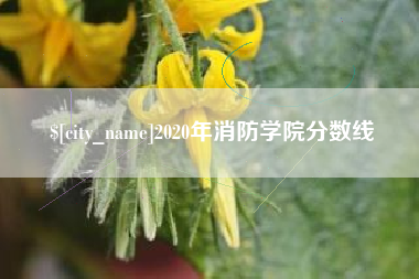 金湖2020年消防学院分数线