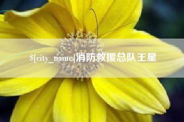 金湖消防救援总队王星