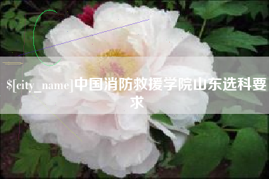金湖中国消防救援学院山东选科要求