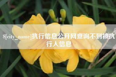 金湖执行信息公开网查询不到被执行人信息
