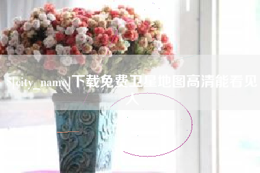 金湖下载免费卫星地图高清能看见人