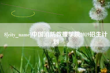 金湖中国消防救援学院2019招生计划