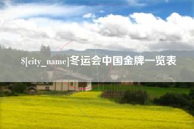 金湖冬运会中国金牌一览表