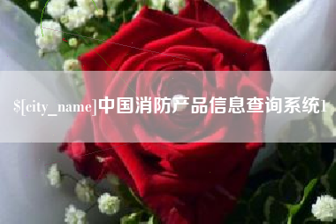 金湖中国消防产品信息查询系统1