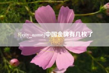 金湖中国金牌有几枚了