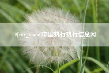 金湖中国执行执行信息网