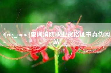 金湖查询消防职业资格证书真伪网站