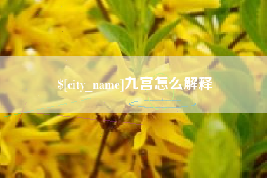 金湖九宫怎么解释