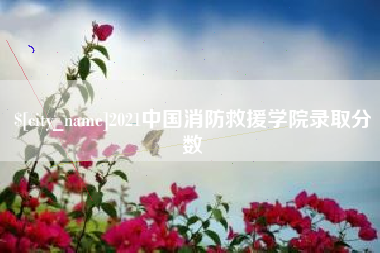 金湖2021中国消防救援学院录取分数