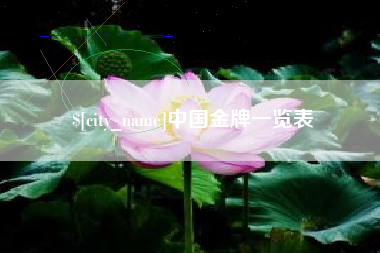 金湖中国金牌一览表