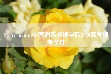 金湖中国消防救援学院2020高考报考条件