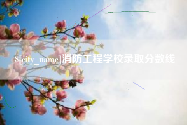 金湖消防工程学校录取分数线
