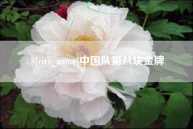金湖中国队第八块金牌