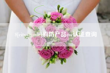 金湖消防产品ccc认证查询