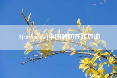 金湖中国消防在线查询