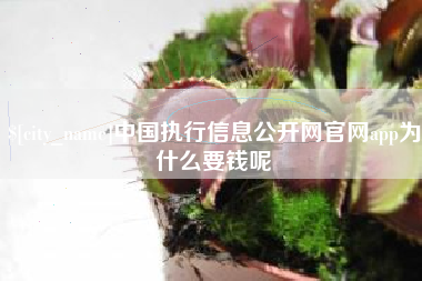 金湖中国执行信息公开网官网app为什么要钱呢