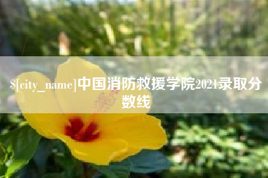 金湖中国消防救援学院2021录取分数线