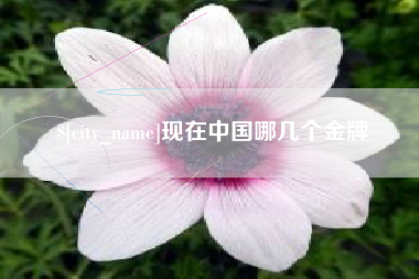金湖现在中国哪几个金牌