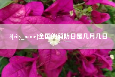 金湖全国的消防日是几月几日