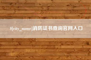 金湖消防证书查询官网入口
