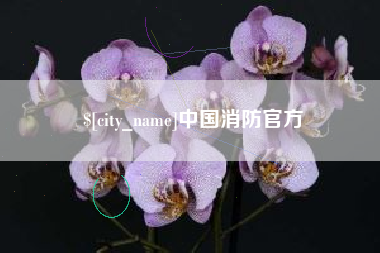 金湖中国消防官方