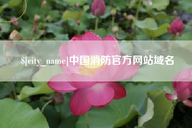 金湖中国消防官方网站域名