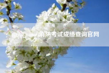金湖消防考试成绩查询官网