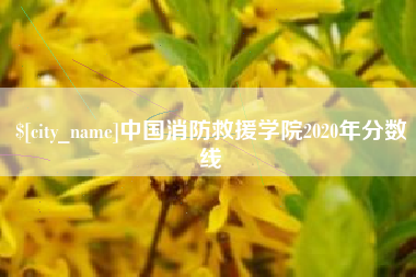 金湖中国消防救援学院2020年分数线
