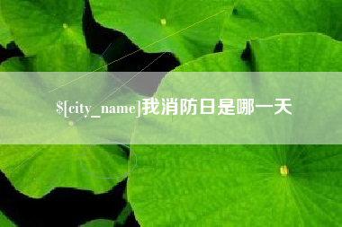 金湖我消防日是哪一天