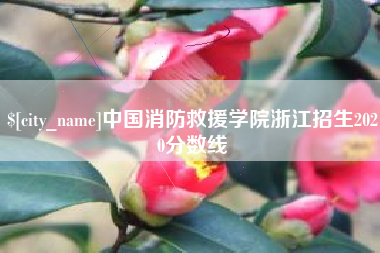 金湖中国消防救援学院浙江招生2020分数线