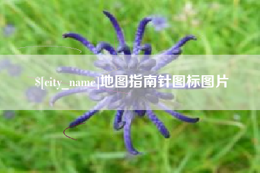金湖地图指南针图标图片