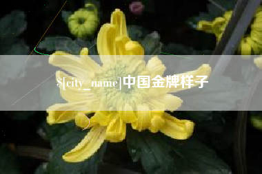 金湖中国金牌样子