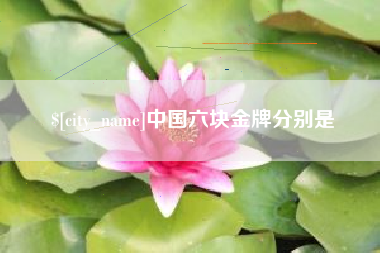 金湖中国六块金牌分别是