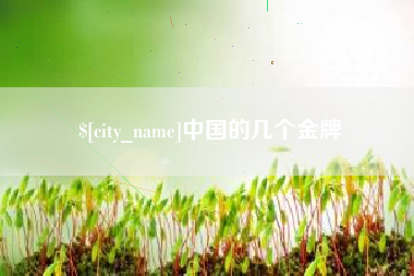 金湖中国的几个金牌