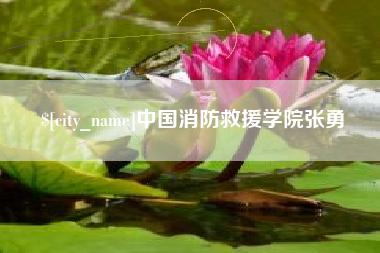 金湖中国消防救援学院张勇