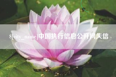 金湖中国执行信息公开网失信